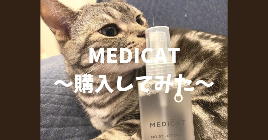 話題‼】メディキャットとは？気になる効果や口コミは？ | no 猫 no life