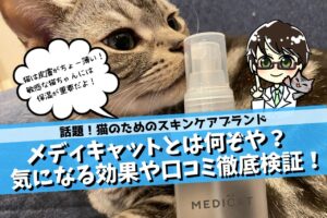 話題‼】メディキャットとは？気になる効果や口コミは？ | no 猫 no life